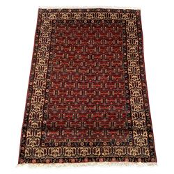 Persian Afshar rug, red ground with repeating panel design decorated with Boteh motifs, the matching guarded border with flower head motifs