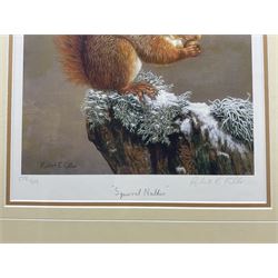 Robert E Fuller (British 1972-): 'Squirrel Nutkin', limited edition colour print signed and numbered in pencil 34cm x 25cm