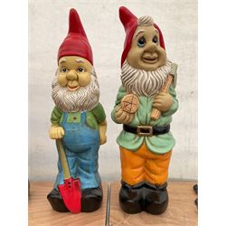 Pair of large indoor or outdoor painted garden gnomes  - THIS LOT IS TO BE COLLECTED BY APPOINTMENT FROM DUGGLEBY STORAGE, GREAT HILL, EASTFIELD, SCARBOROUGH, YO11 3TX