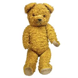 1950's English curly plush teddy bear with applied eyes, horizontally stitched nose and mouth and jointed limbs with growler mechanism H63cm