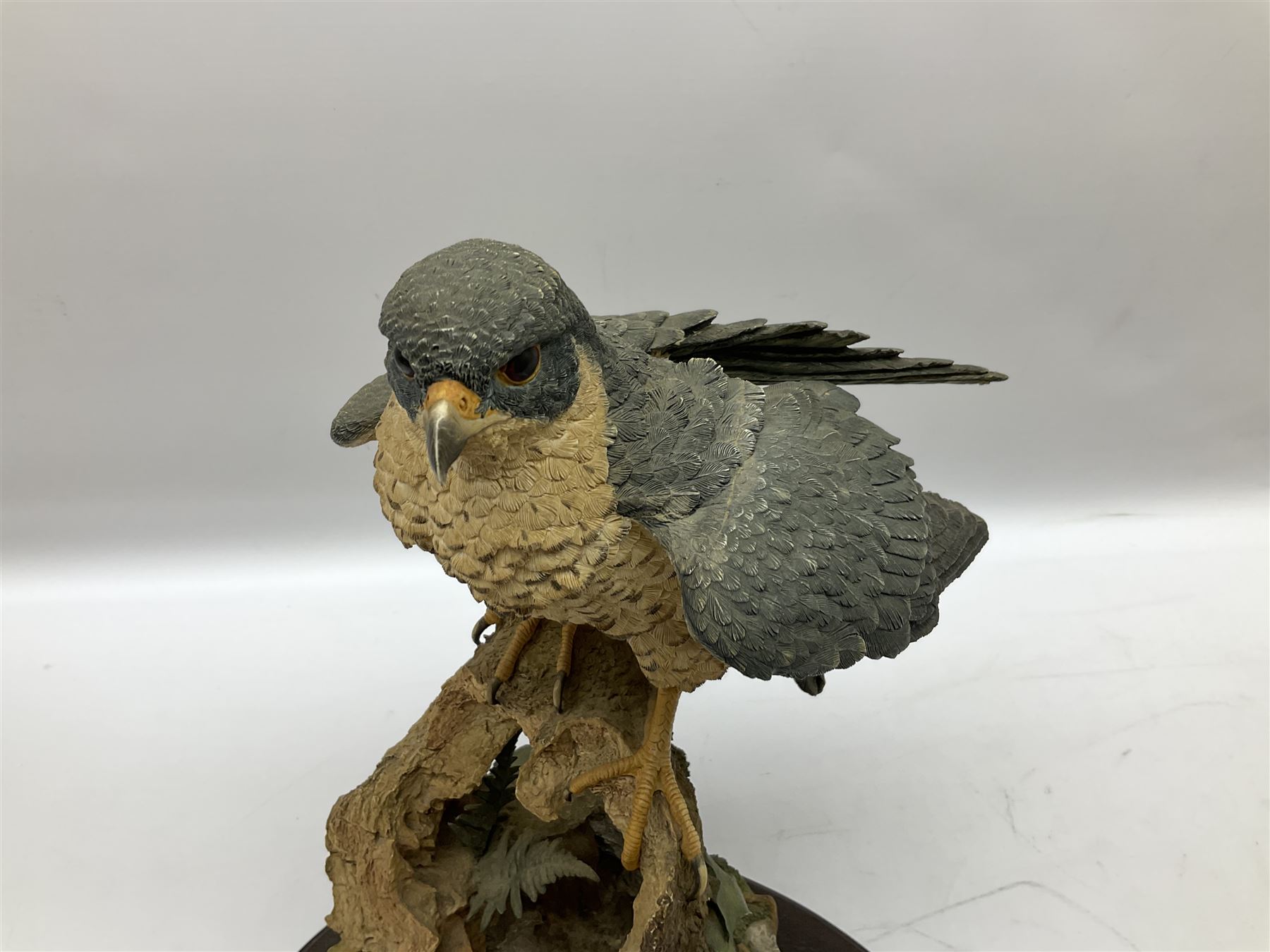 Country Artists figure of a peregrine falcon ' Lord of the Skies ' by David Ivey, limited edition, H44cm, together with two Sherratt and Simpson figures, both of peregrine falcons perched on branches. 