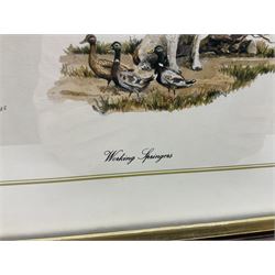 After Alan Ellison, limited edition colour print 'Working Springers' no.178/750 signed on the mount 43 x 59cm; and seven colour prints after Nigel Hemming of game birds and gun dogs; all framed (8)