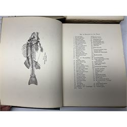Maxwell, Herbert; 'British Fresh-Water Fish', Afalo, F.G; 'British Salt Water Fish', Hulme, F. Edward: 'Wild Fruits of the countryside' Boulger, G.S; Familiar Trees, two volumes, all with coloured plates, together with three other books