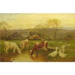  William Henderson of Whitby (British 1844-1904): Short Horn Cows watering with Geese at Goathland, oil on canvas signed 49cm x 75cm  