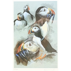 Robert E Fuller (British 1972-): Puffins, limited edition colour print signed and numbered 40/200 in pencil 26cm x 16cm