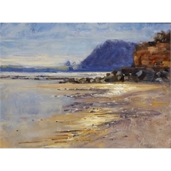  'Light Study on Water Sidmouth', oil on artist's board signed by Matt Culmer (British Contemporary), titled verso 29cm x 39cm  