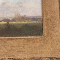Circle of Jean-Baptiste-Camille Corot (French 1796-1875): View of a Distant Mountain, oil on canvas bearing signature, inscribed verso 'From the collection of Alexandre Dumas, Fils. Mrs W.D. Harbison of Jersey, a relative of Alexandre Dumas, Fils.' 8.5cm x 23cm 