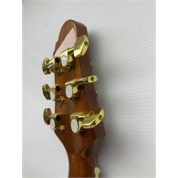 Woodstock model no.WHW41J203 acoustic guitar with mahogany back and sides and spruce top, serial no.2835 L102.5cm; in soft carrying case