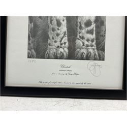 Gary Hodges (British 1954-): 'Cheetah',, limited edition monochrome print signed and numbered 113/850 in pencil 66cm x 20cm