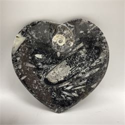 Three piece desk set, comprising letter rack, dish and box with raised Orthoceras to the lid, all with Orthoceras and Goniatite inclusions, age: Devonian period, location: Morocco