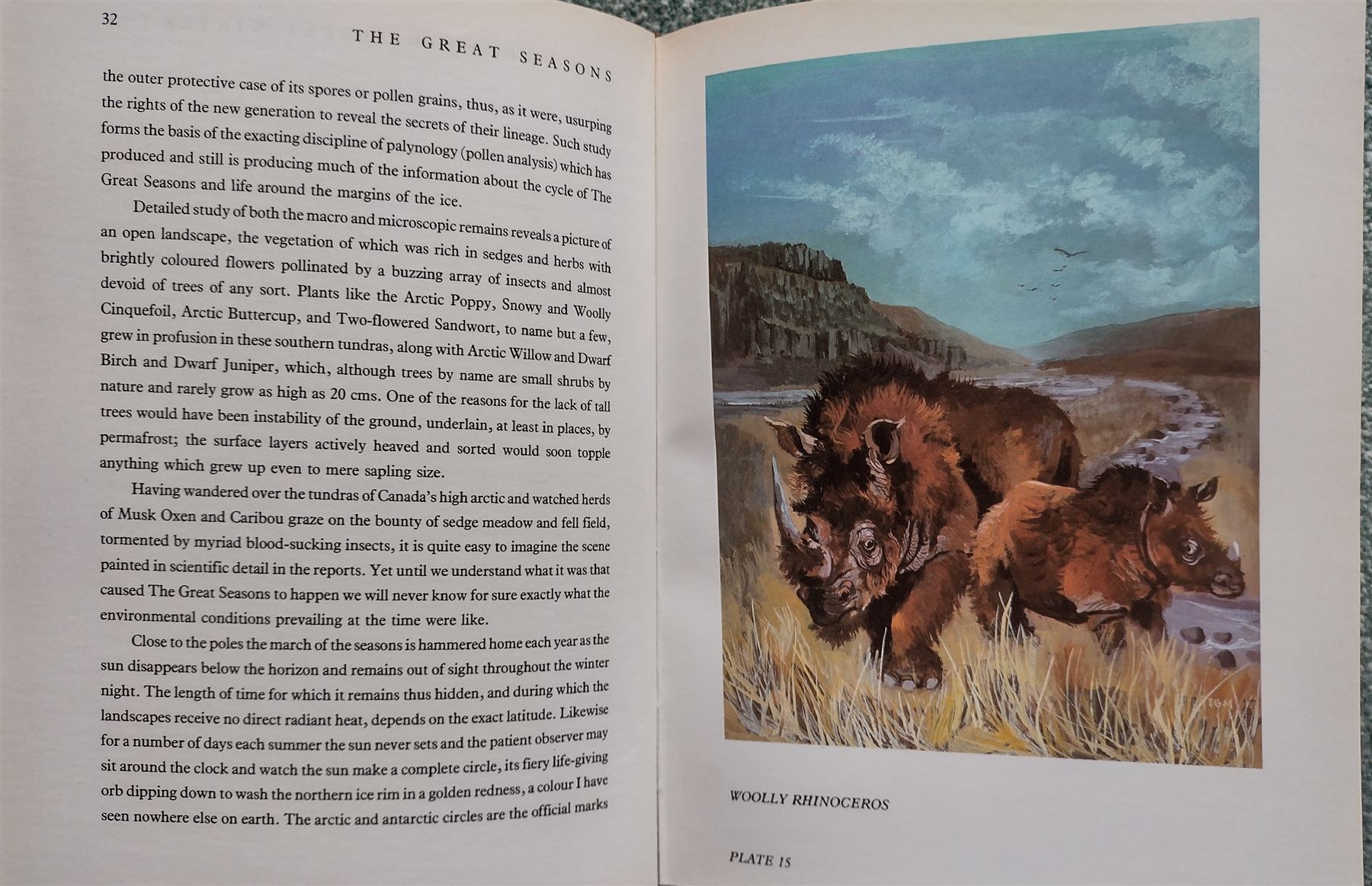 Sheila Gertrude Mackie (Northern British 1928-2010): Sumatran Rhinoceroses in the Plains and Alligator in Volcanic Landscape, pair oils on board signed with initials max 51cm x 38cm (2)
Notes: these pictures are originals from the illustrations used in 'The Great Seasons’ by David Bellamy