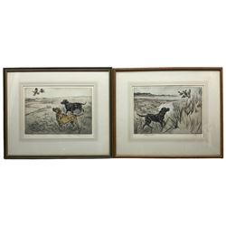 Henry Wilkinson (British 1921-2011): Labradors Chasing Pheasants, pair coloured drypoint etchings signed and numbered in pencil 25cm x 36cm (2)
