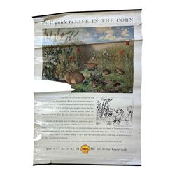 Collection thirty seven vintage county guide posters produced by Shell, H76cm, W51cm