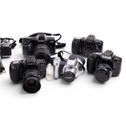 Twelve Minolta cameras and a Panasonic Lumix DMC-FZ8