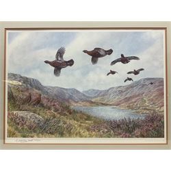 Five limited edition framed coloured prints of shooting interest comprising after C. Stanley Todd game birds taking flight in a mountainous lake landscape no.348/600; after J.C. Harrison game birds in flight over fields no.285/500; after Alan B. Hayman  'A Right and Left?' no.398/850; after Andy Beck 'Pheasant Drive' no.56/350; and after Leo Stans 'Autumn Air'; all signed on the mount; various frames (5)