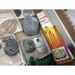 Natural history; Collection of rock and mineral specimens to include muscovite, sphalerite zinc blende, breccia, migmatite, fluorite etc, housed in a wood box, some named 