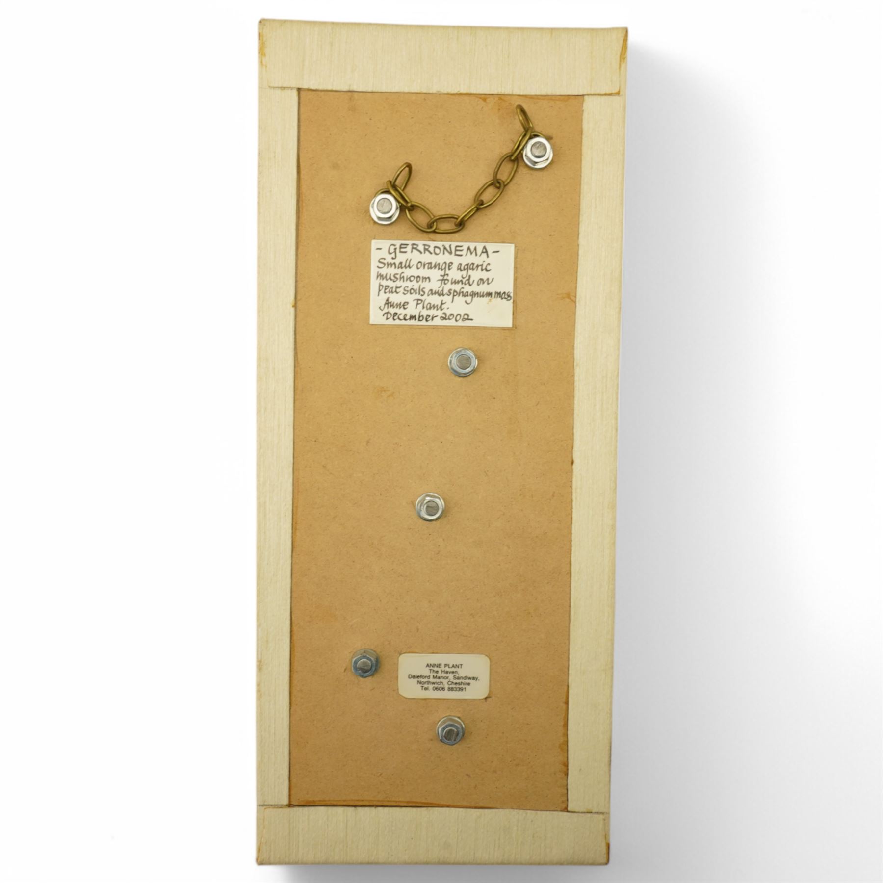 Anne Plant (British 1934-2019): 'Gerronema' 'Polygramma' and 'Icterinus', set three stoneware wall-hanging sculptures, largest 41cm x 17cm (3)