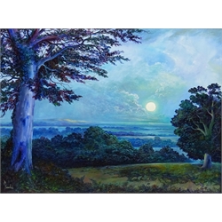 Bruce Kendall (British Contemporary): 'Moonlight over the Howardian Hills', oil on board signed, titled verso 44cm x 60cm