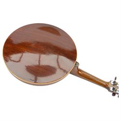 Windsor resonator 8-string Zither Mandolin or Banjolin, manufactured in Newhall street Birmingham, c1930. in a velvet lined hard case.