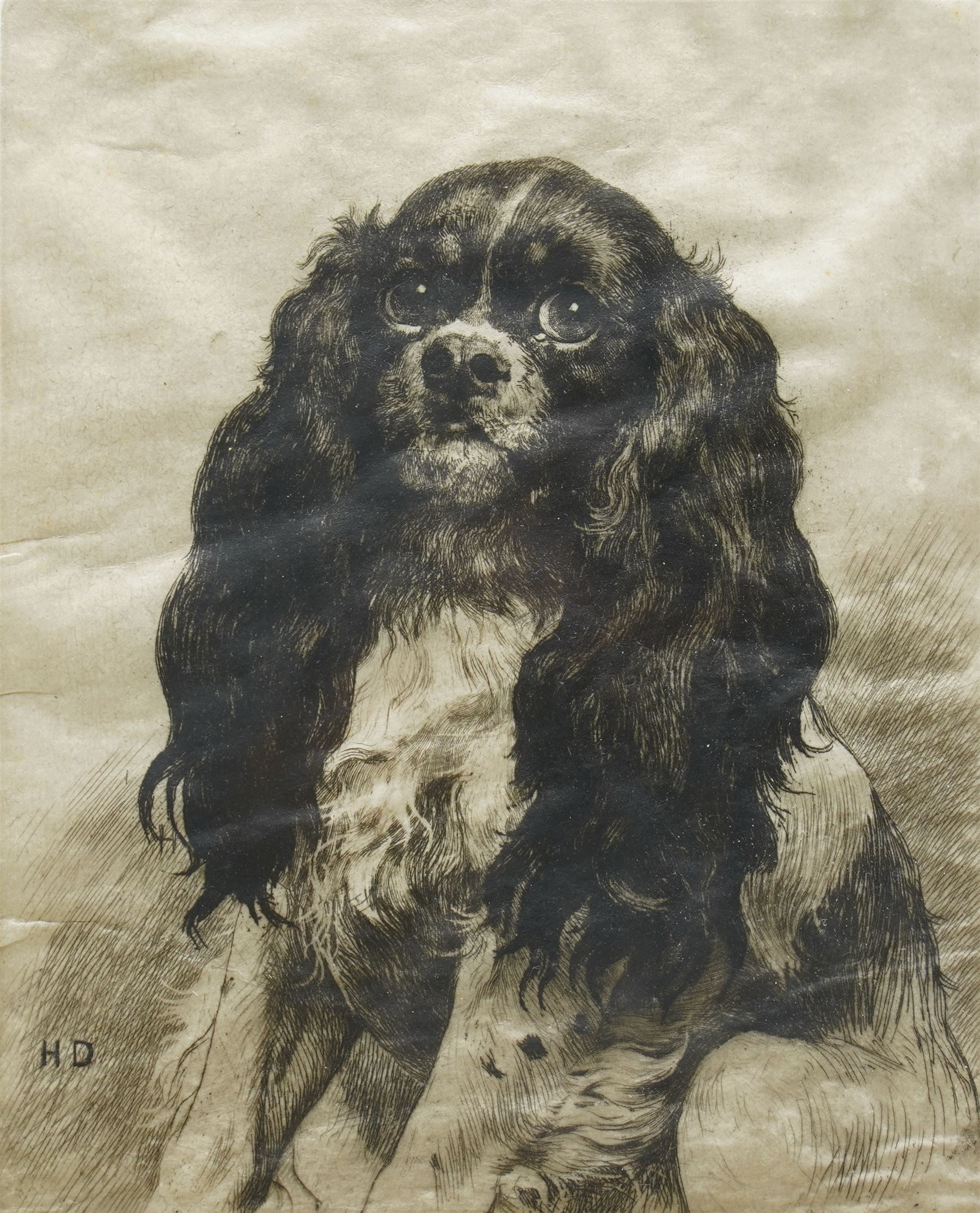 Herbert Dicksee (British 1862-1942): 'Bonnie Prince Charlie - A King Charles Spaniel', drypoint etching on vellum signed in pencil pub. Fine Art Society 1902, 27cm x 22cm