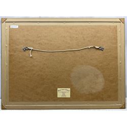 Charles Frederick Tunnicliffe (British 1901-1979): Barn Owl, watercolour gouache charcoal and pencil signed, a preparatory sketch for a larger painting 43cm x 66cm
Provenance: private collection; with Park Lane Galleries, Poynton, Cheshire