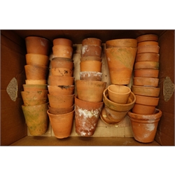  Approx 38 small 20th century terracotta plant pots in one box  