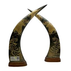 Pair of carved buffalo horns, engraved in low relief with tigers, dragons and birds, upon stepped wooden stands, H42cm