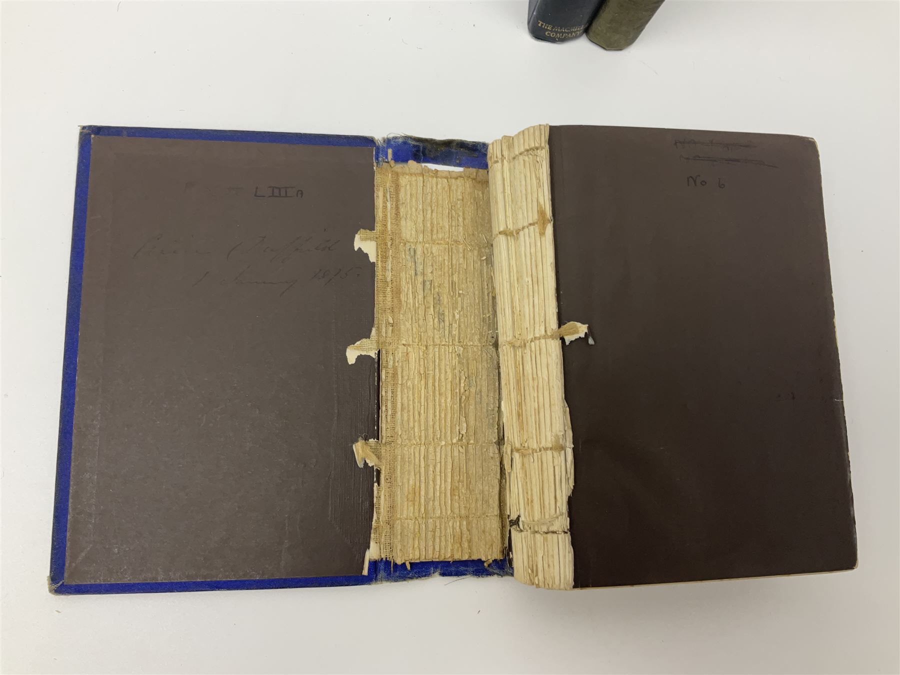 Woolf Virginia: Flush A Biography. Hogarth Press 1933 New Edition with dustjacket; Munroe Kirk: Through Swamp and Glade. 1897 First Edition; Kirby Mary & Elizabeth: Beautiful Birds in Far Off Lands. 1873. Colour plates; and two other books (5)
