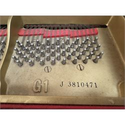 Yamaha - Baby Grand (5' 3