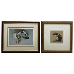 Robert E Fuller (British 1972-): Lurcher, limited edition print signed and numbered 573/850 in pencil 21cm x 31cm; John Naylor (British 1960-): Dog, limited edition print signed and numbered 6/225 in pencil 17cm x 17cm; together with two further Robert E Fuller prints of Elephants and a Robin (unframed) (4)