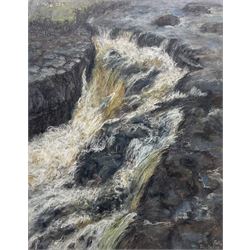 Herbert Whone (Northern British 1925-2011): 'Ingleton Falls', pastel signed titled and dated 2001, 62cm x 49cm