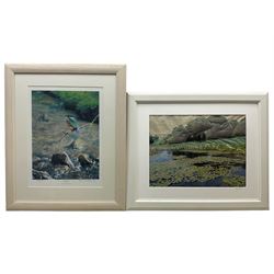 George W Pickering (20th century): Kingfisher, limited edition print signed in pencil; Diane Kane: landscape collage (2)