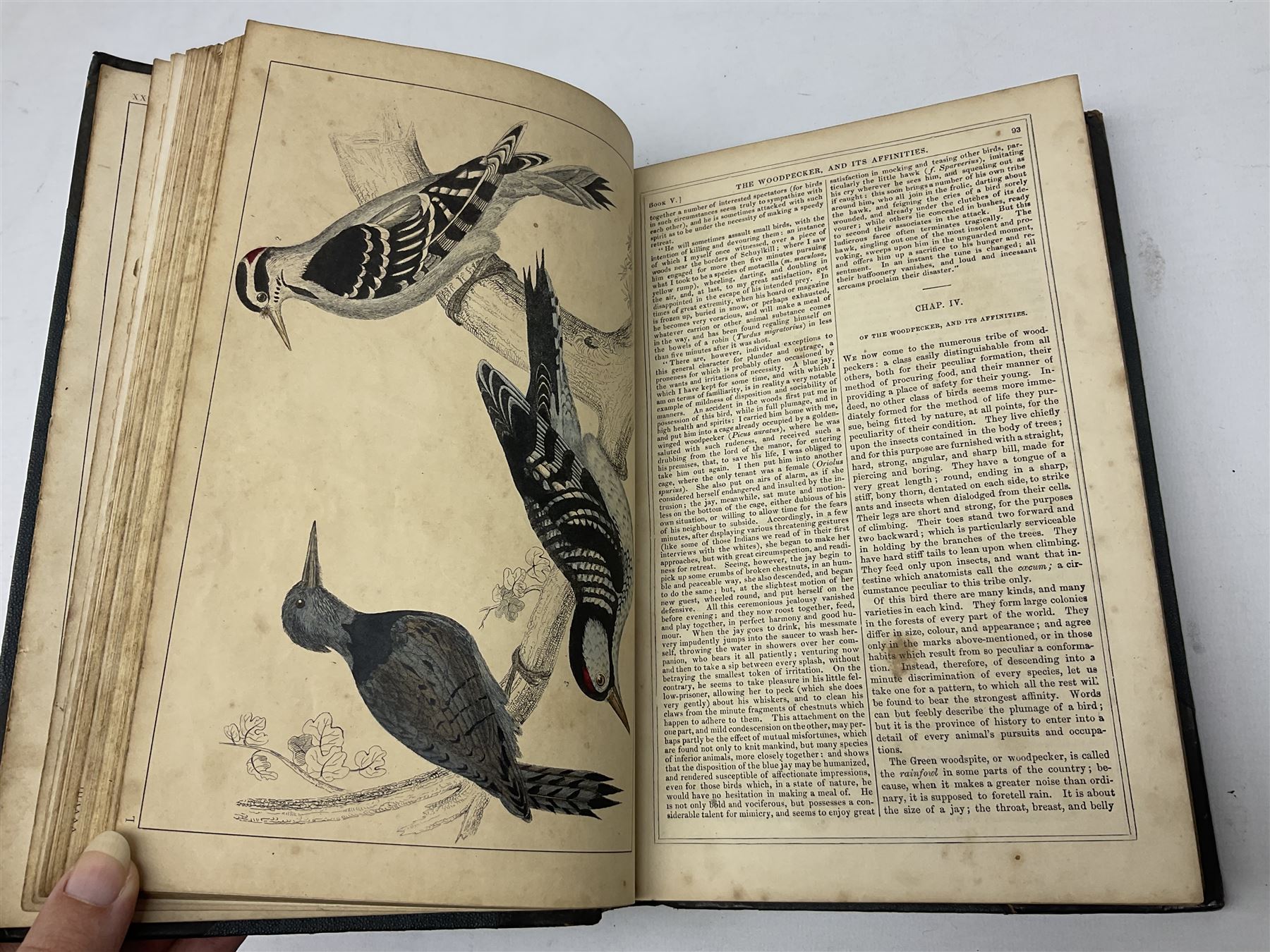 Goldsmith, Oliver; A History of the Earth and Animated Nature, 2 volumes, pub. Fullarton, Edinburgh and London, illustrated with coloured plates, cloth and leather bound with marbled edges (2)