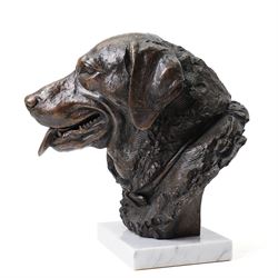 Sally Arnup, FRBS ARCA (1930-2015): Labrador, bronze, signed and numbered III/X, mounted on white marble base, H30cm 