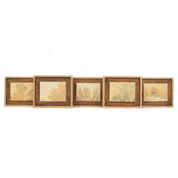 Set of five Dendrites, rectangular shale specimens with manganese oxide dendrites within w...