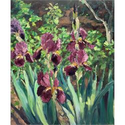 Catherine Tyler (British 1949-): 'Irises', oil on canvas signed and dated 2020, titled verso 61cm x 51cm (unframed)