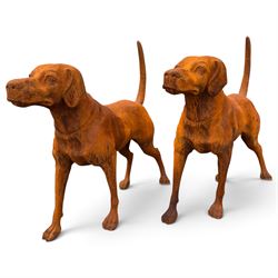 Pair of weathered cast iron garden statues in the form of standing foxhounds with outstret...