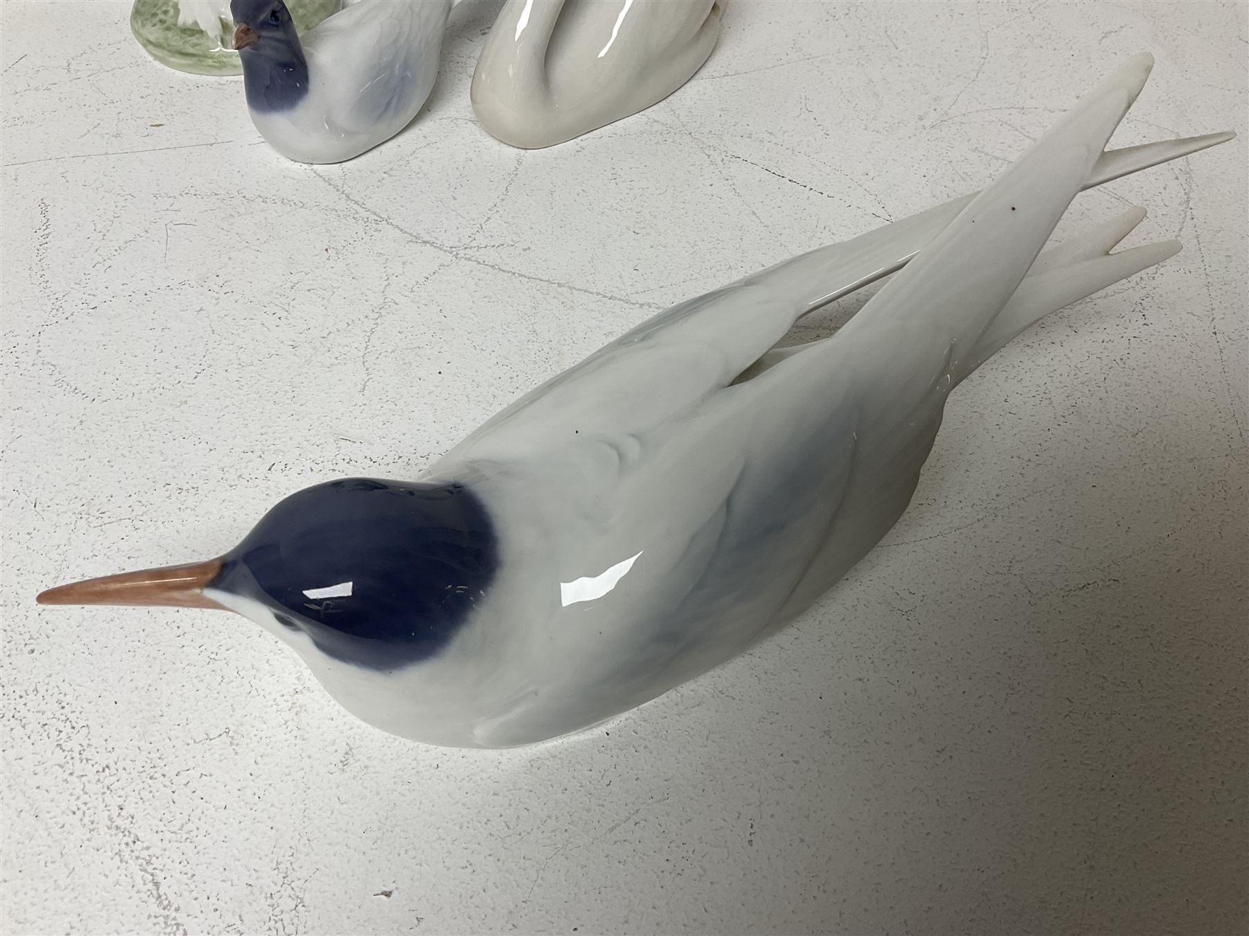Seven Royal Copenhagen figures, including Arctic tern no 827, Swan no 755, Kingfisher no 2257 etc, together with Royal Copenhagen dish