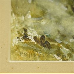 Arthur Douglas Peppercorn (British 1847-1924): 'A Cloudy Day', watercolour faintly signed, titled on mount 22cm x 32cm 