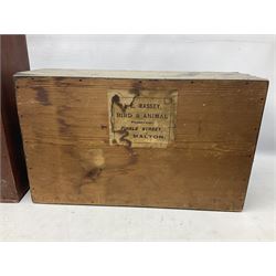 Taxidermy: Red Squirrels (Sciurus vulgaris), full adult mount, climbing a small cut tree stump, in a naturalistic setting, encased within a single pane display case, together with cased Ermine ((Mustela erminea), full adult mount, in a ebonised single pane display case, squirrel case, H35cm, L38cm