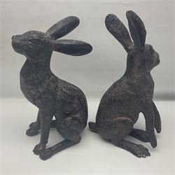 Two composite hares, largest H38cm