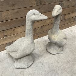 Pair of cast stone garden geese