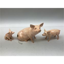 Collection of Beswick pig figures, to include John Beswick Little Likeables ‘Hide and Sleep’, white boar pig and John Beswick trio of pigs, all marked beneath (5)