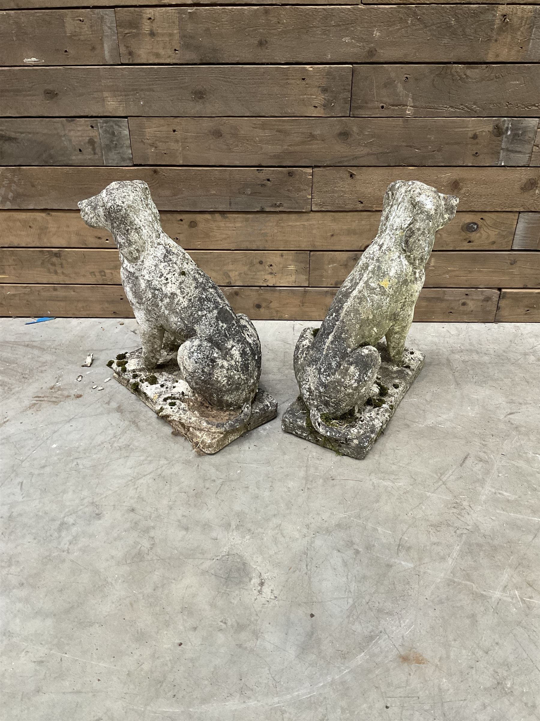 Pair of cast stone garden dogs and 2 female figures,