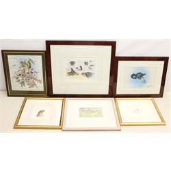 Peter Partington (British 1941-): 'Black