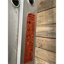 Lyte Industries 3.8m - 6.9m pair of extending ladders
