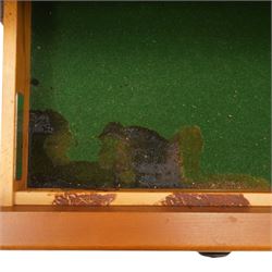 St Michael - pair of cherrywood bedside tables, single drawer above a fielded panel door, brass pulls, raised on a plinth base
