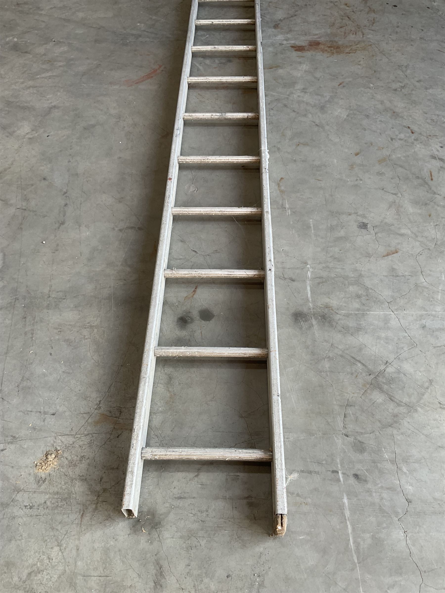 Ramsay 24 rung 2.4m single ladder
