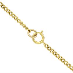 Queen Victoria 1901 gold half sovereign coin, loose mounted in 9ct gold pendant mount,hallmarked, on gilt chain