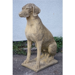 Composite stone garden model of a flat coated hound, H76cm  